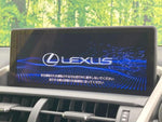 LEXUS NX300