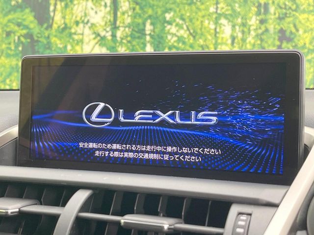LEXUS NX300