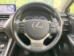 LEXUS NX300