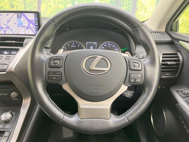LEXUS NX300