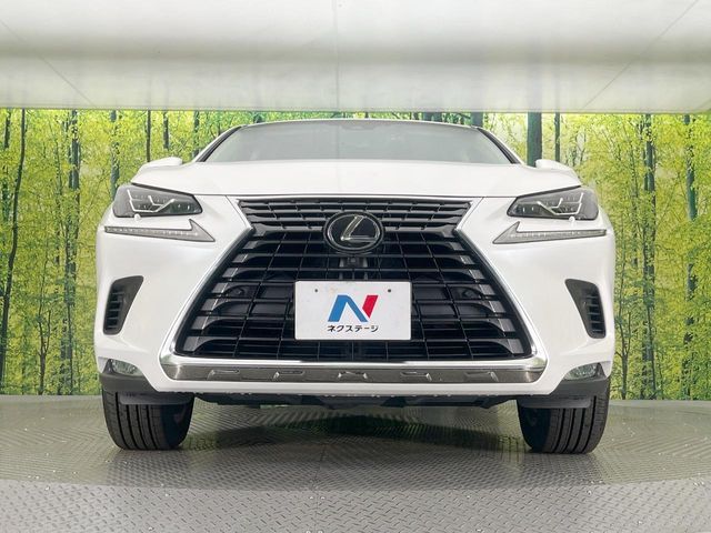 LEXUS NX300