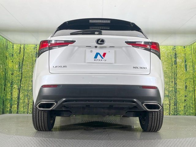 LEXUS NX300