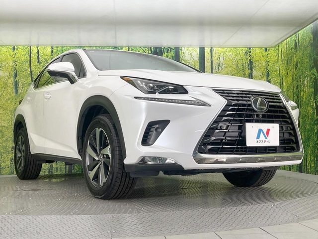 LEXUS NX300