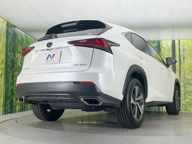 LEXUS NX300