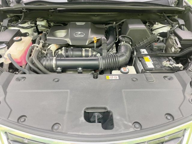 LEXUS NX300