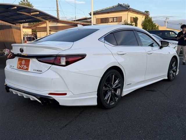 LEXUS ES300h
