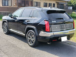 Buddy