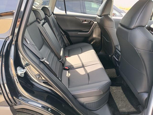 Buddy