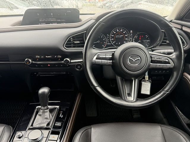 CX-30