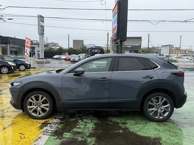 CX-30