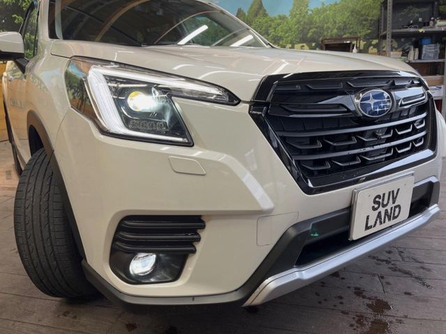 FORESTER