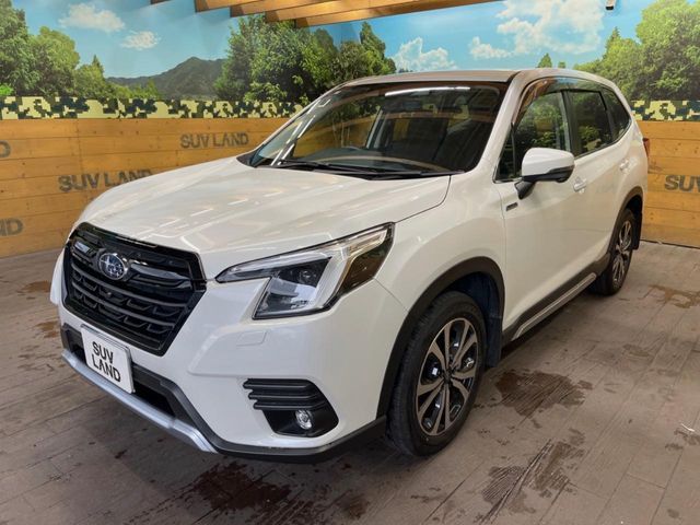FORESTER