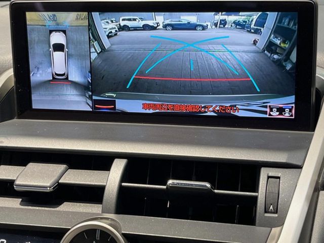 LEXUS NX300h