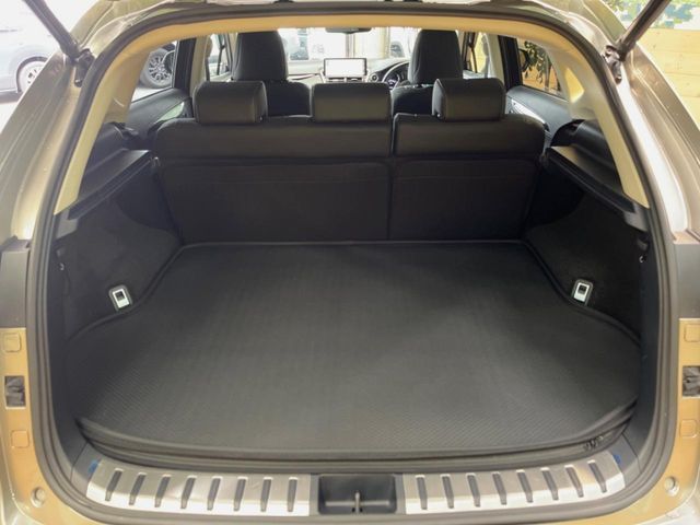 LEXUS NX300h