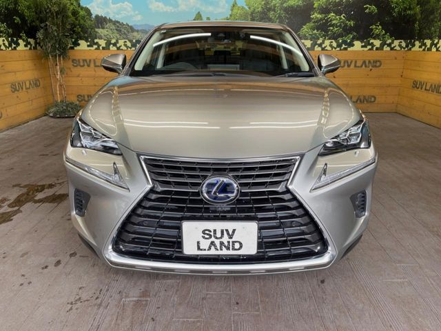 LEXUS NX300h