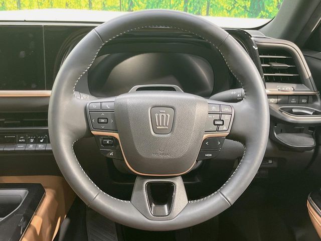 CROWN SPORT