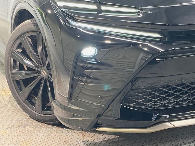 CROWN SPORT