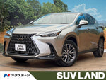 LEXUS NX250 AWD