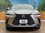 LEXUS NX250 AWD