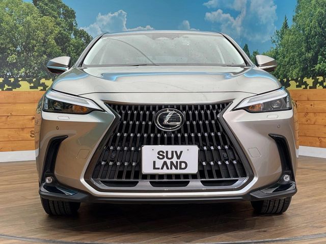 LEXUS NX250 AWD