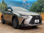 LEXUS NX250 AWD