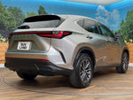 LEXUS NX250 AWD