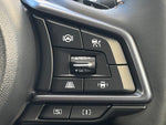 LEVORG LAYBACK