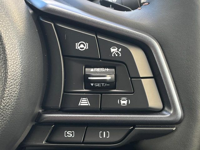LEVORG LAYBACK