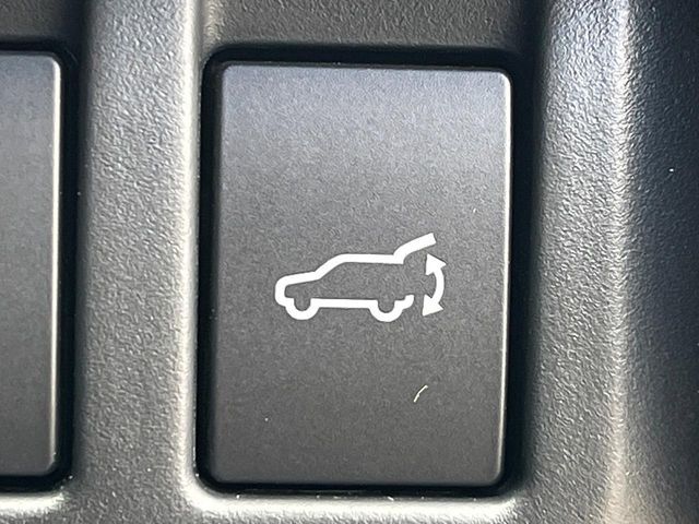 LEVORG LAYBACK