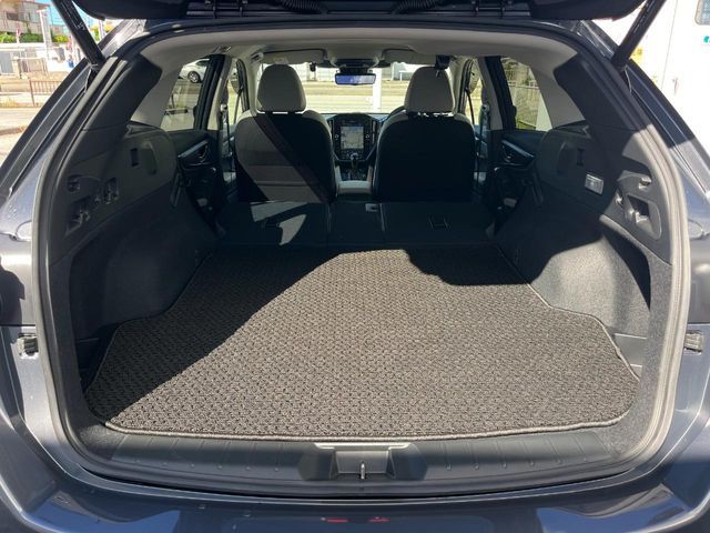 LEVORG LAYBACK