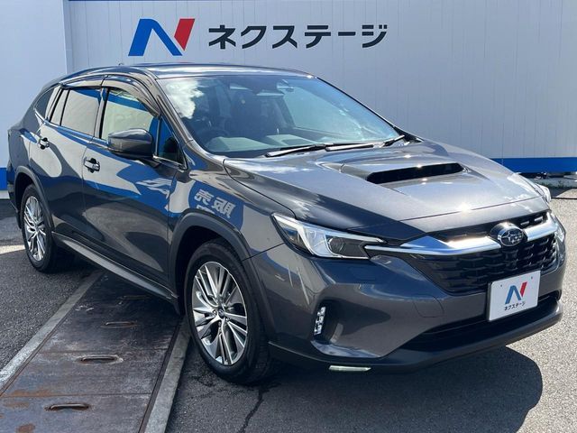LEVORG LAYBACK