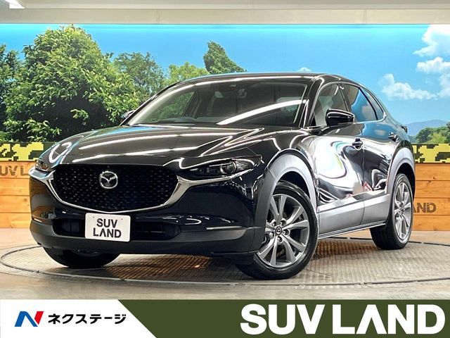 CX-30