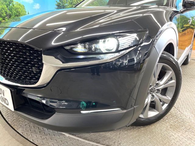 CX-30
