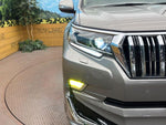 LANDCRUISER PRADO