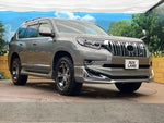 LANDCRUISER PRADO