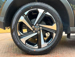 RAIZE HYBRID