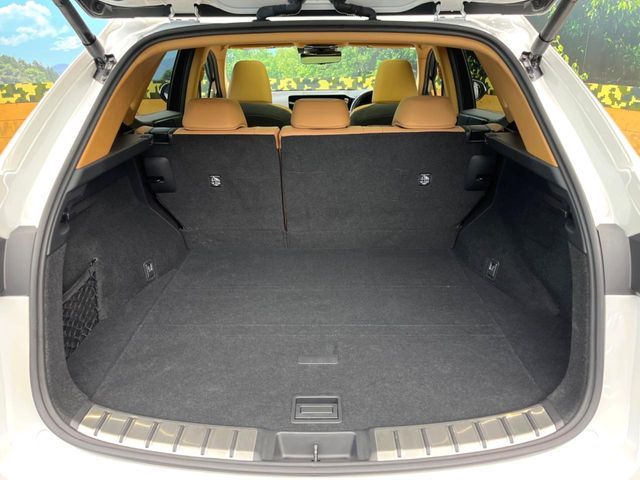 LEXUS NX350h