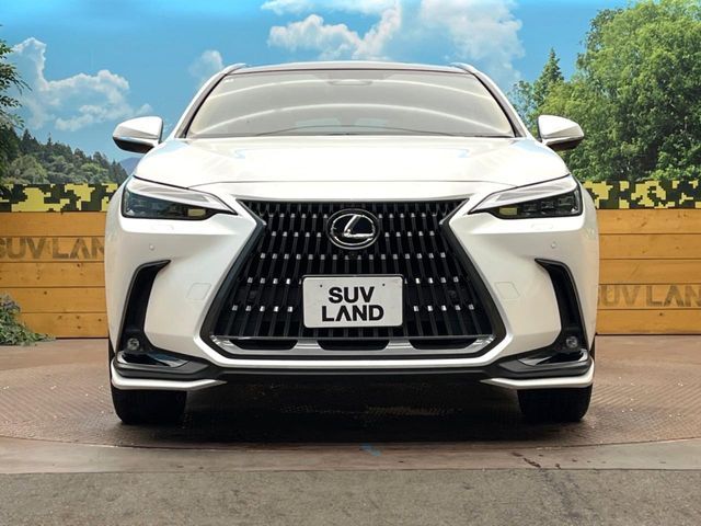 LEXUS NX350h