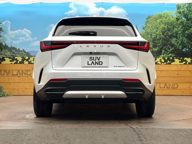 LEXUS NX350h
