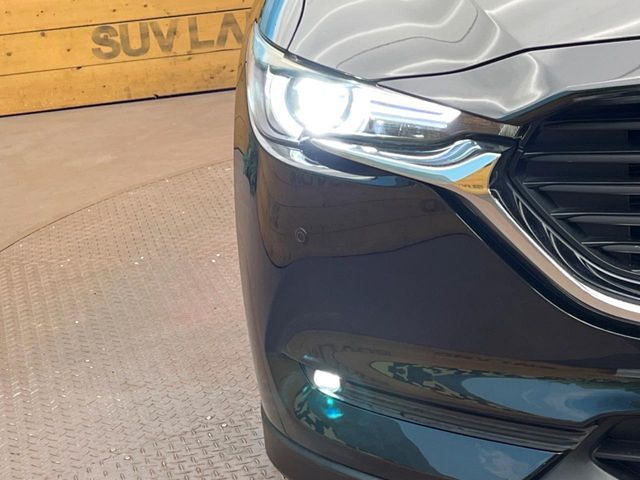CX-8