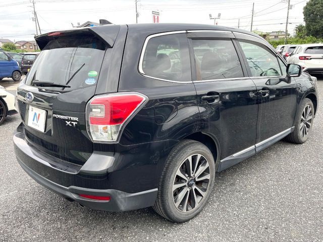 FORESTER