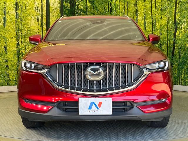 CX-8