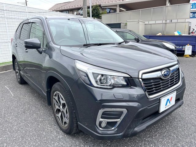 FORESTER