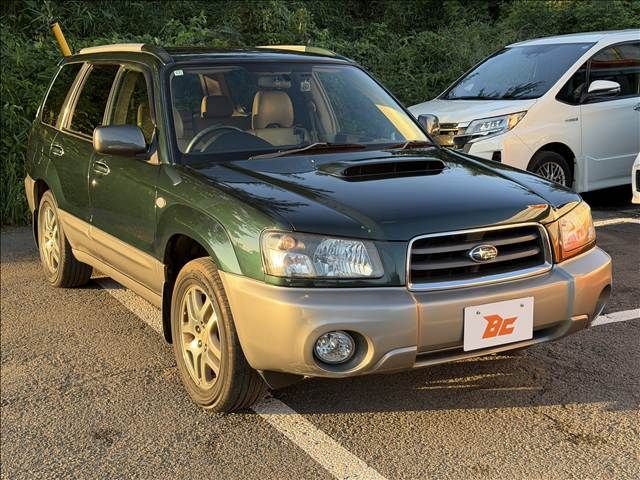 FORESTER