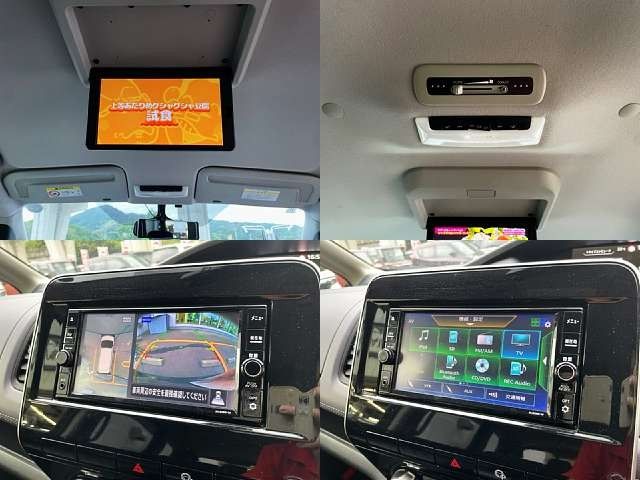 SERENA  S-HYBRID