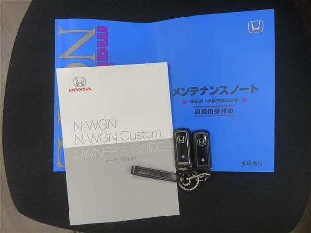 N-WGN
