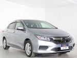 GRACE HYBRID