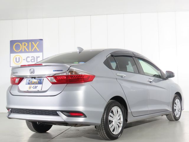 GRACE HYBRID