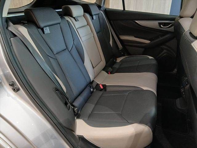 LEVORG LAYBACK