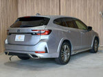 LEVORG LAYBACK